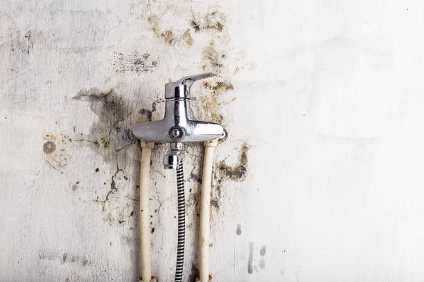 Water Damage Restoration in Fulshear, TX