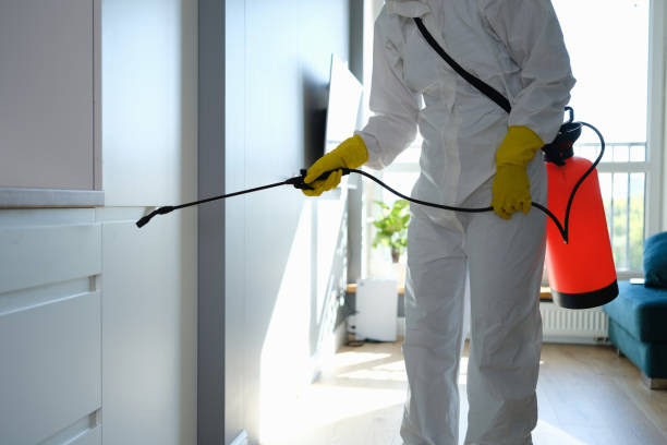 Trusted Fulshear, TX Mold Removal Experts