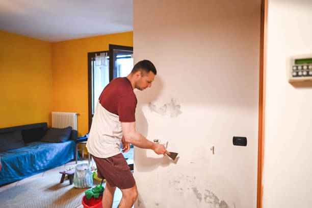 Best Water Damage Restoration  in Fulshear, TX